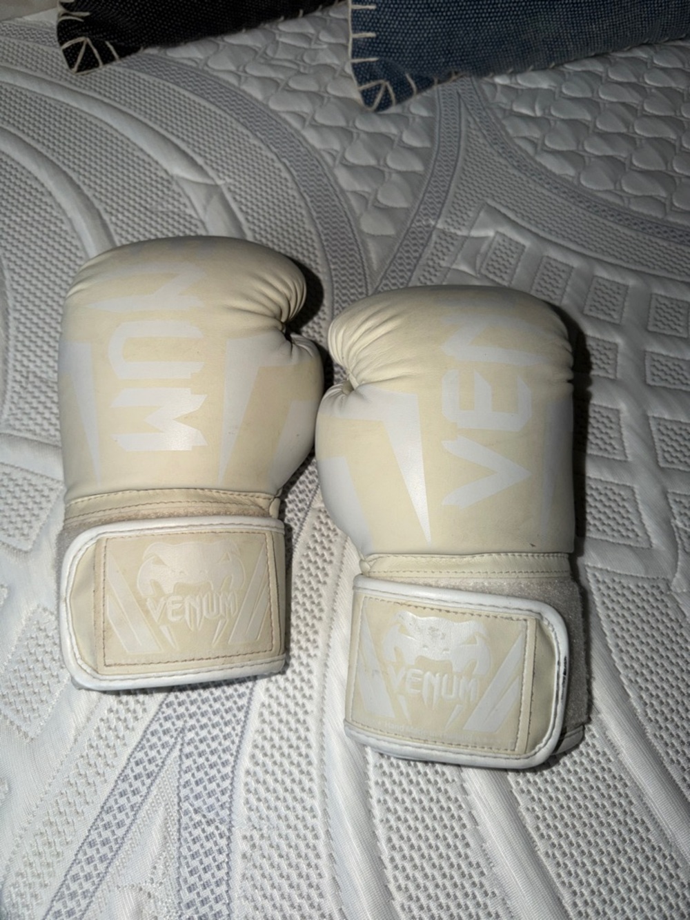 Venum White Boxing Gloves